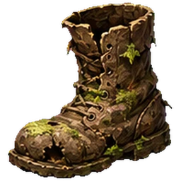 Zplesnivělá bota
